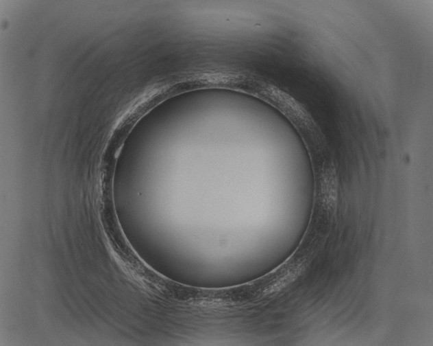 X0000082690730200702091656