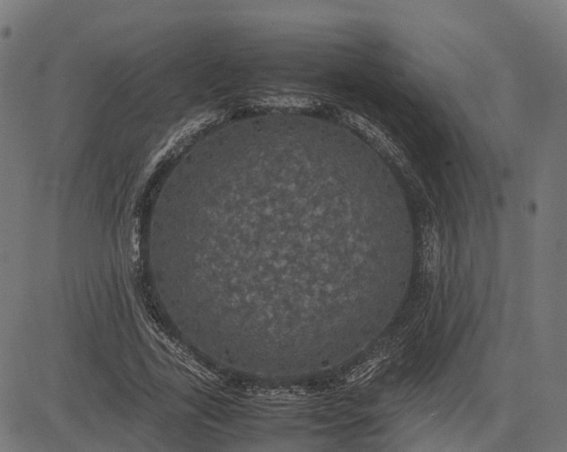 X0000082690731200702091657