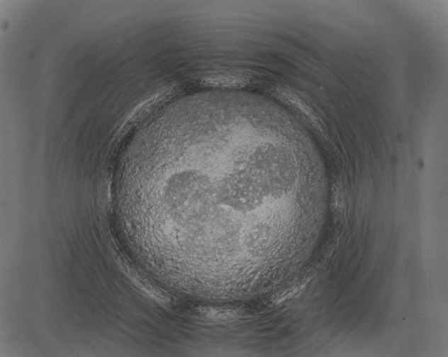 X0000082690733200702091657