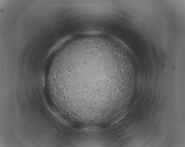 X0000082690734200702091657