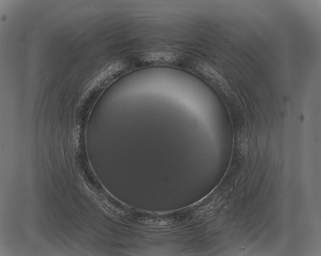 X0000082690735200702091657