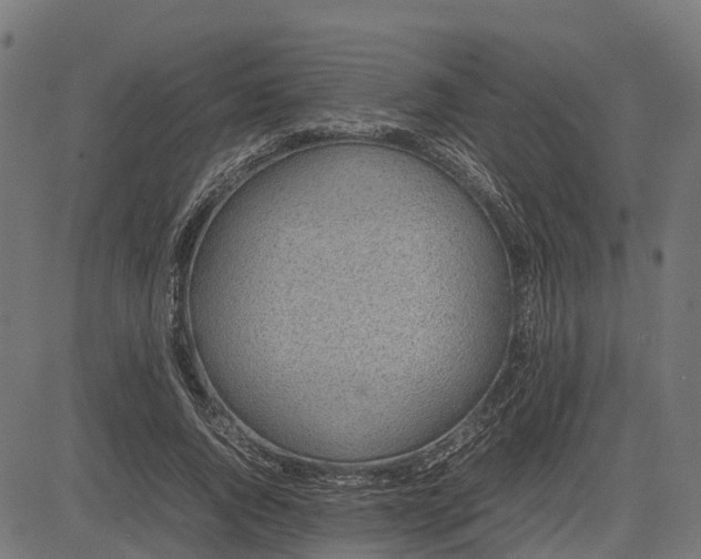 X0000082690736200702091657