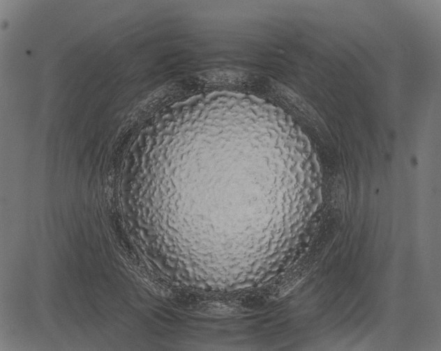 X0000082690737200702091657