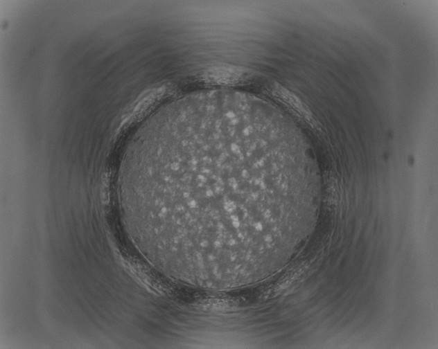 X0000082690738200702091657