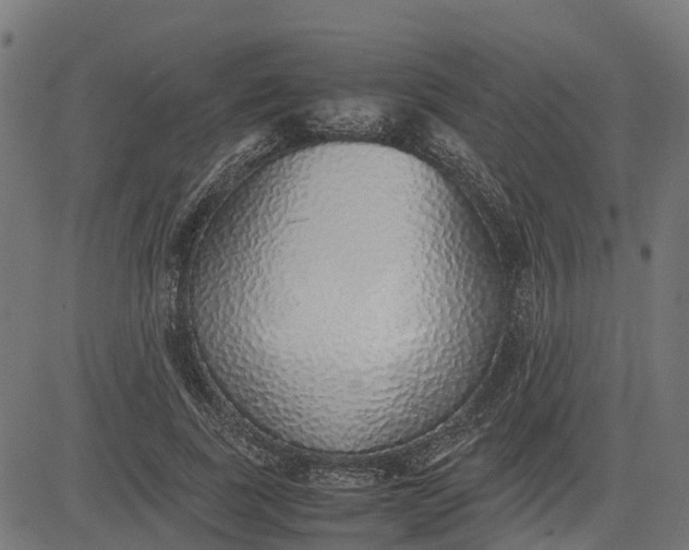 X0000082690739200702091657