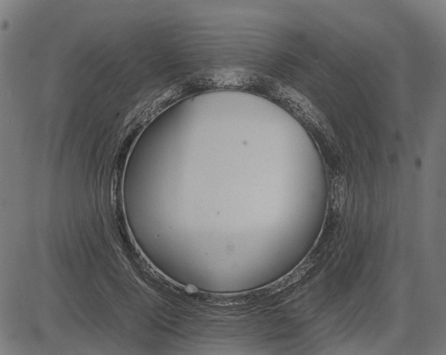 X0000082690740200702091657