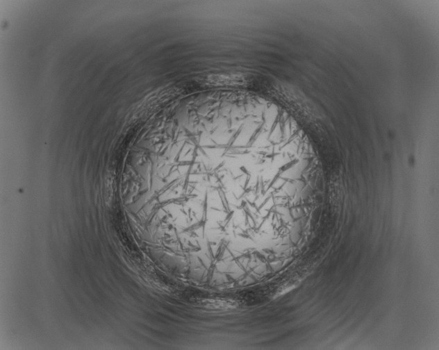 X0000082690741200702091657