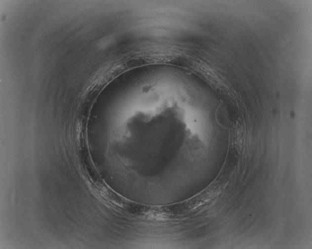 X0000082690742200702091657