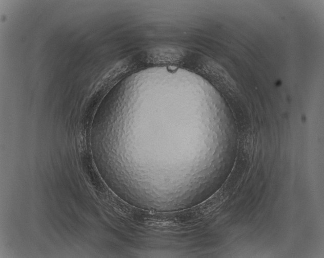 X0000082690743200702091657