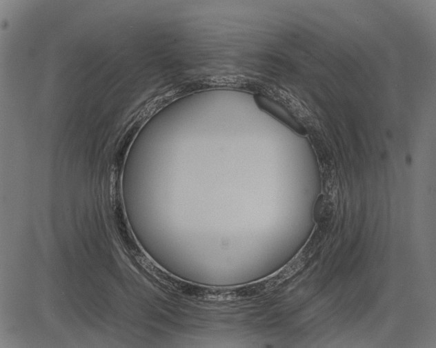 X0000082690744200702091657