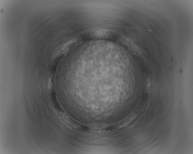 X0000082690746200702091657