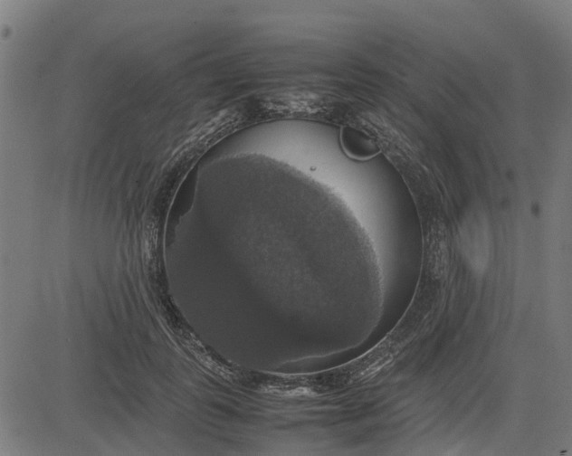 X0000082690747200702091657