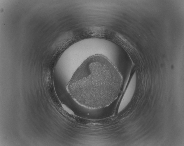 X0000082690748200702091657