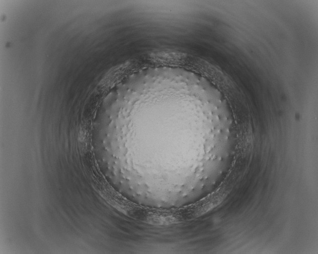 X0000082690749200702091657