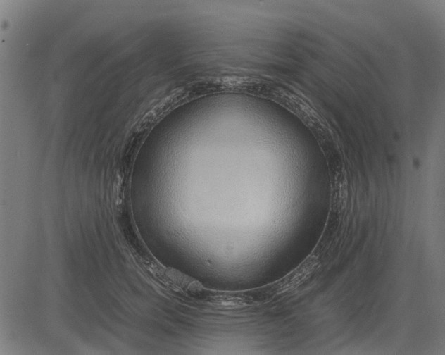 X0000082690750200702091657