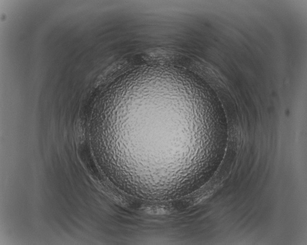 X0000082690751200702091657