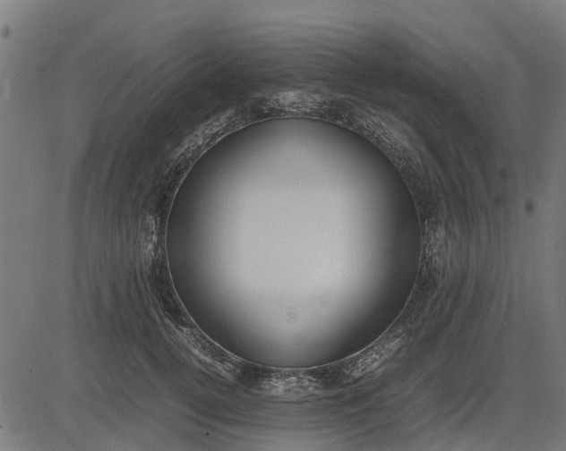 X0000082690752200702091657