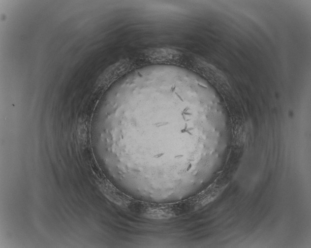 X0000082690753200702091657