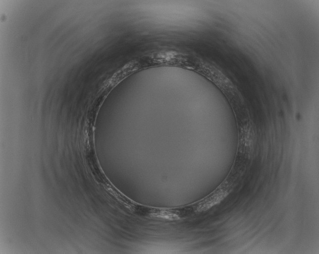 X0000082690754200702091657