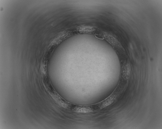 X0000082690755200702091657