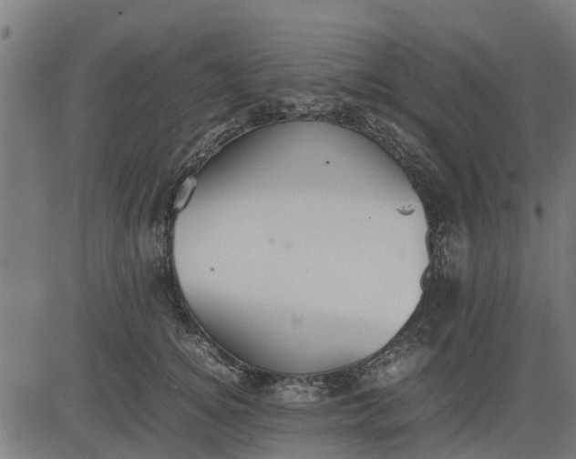 X0000082690756200702091657