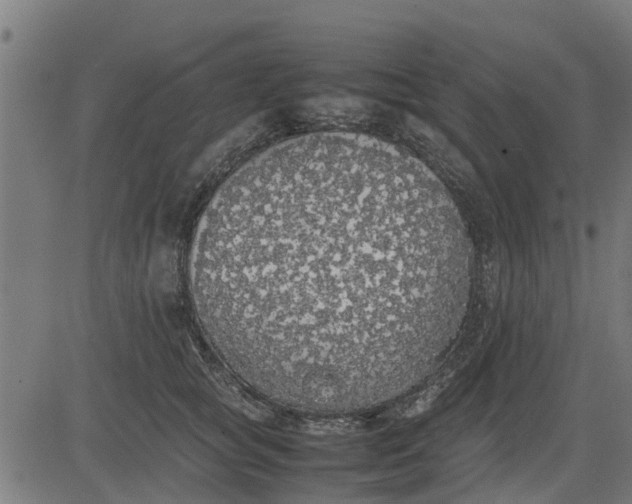 X0000082690757200702091657