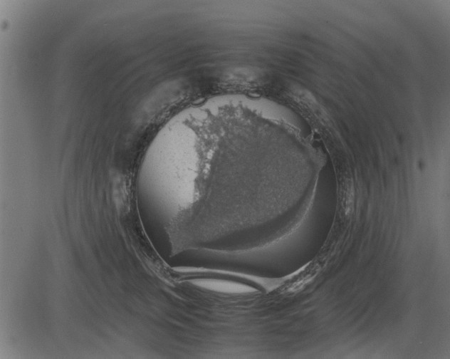 X0000082690759200702091657