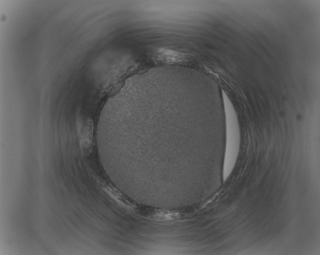 X0000082690760200702091657