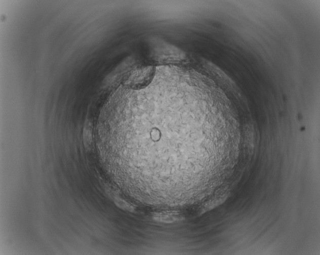 X0000082690761200702091657