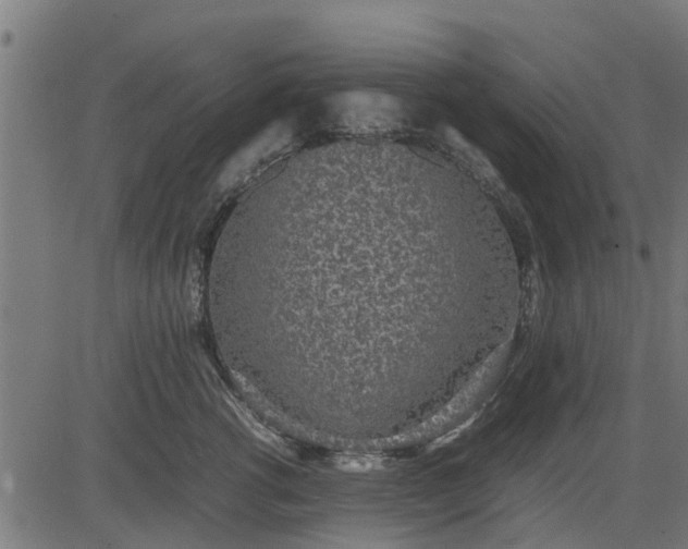 X0000082690762200702091657