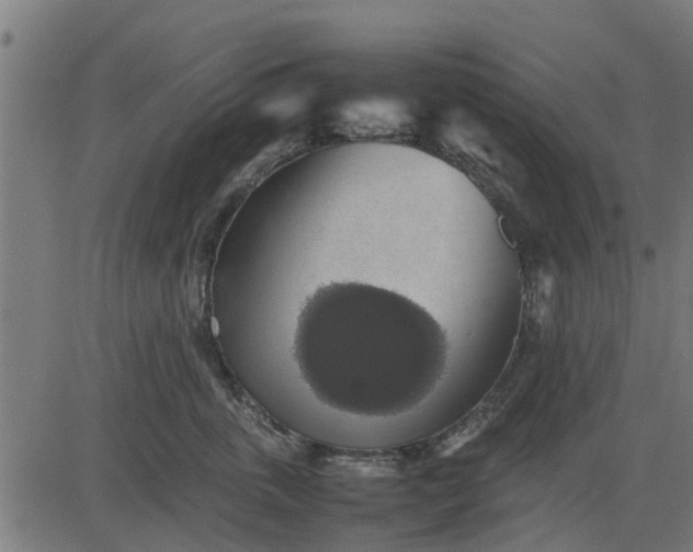 X0000082690763200702091657