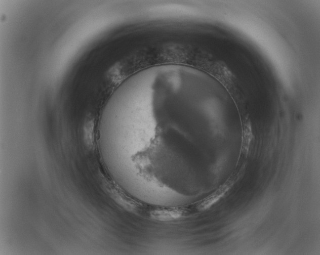 X0000082690765200702091657