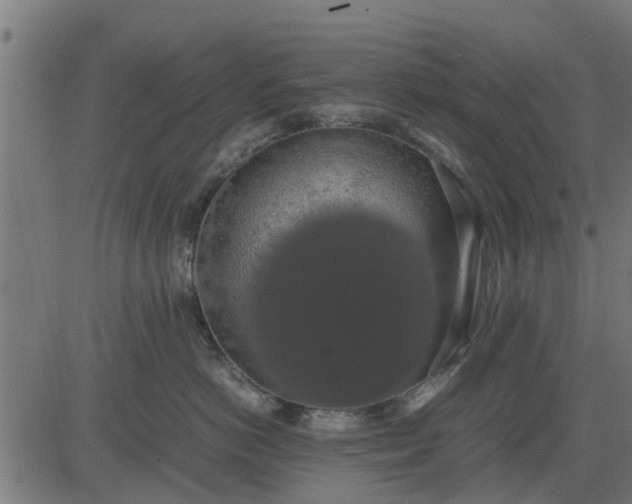 X0000082690766200702091657