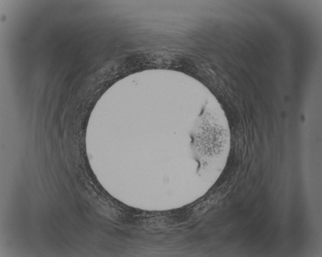 X0000082690769200702091656