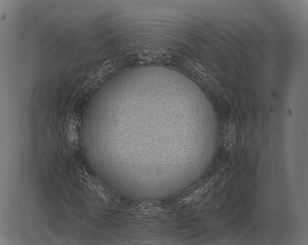 X0000082690770200702091656