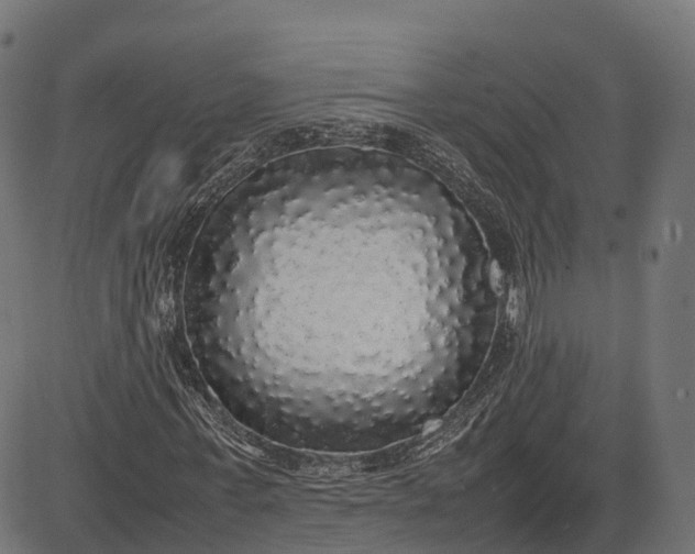 X0000082690771200702091656