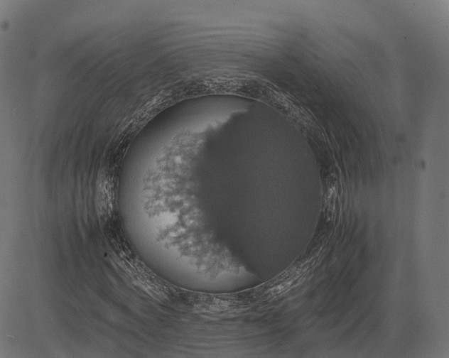 X0000082690772200702091656