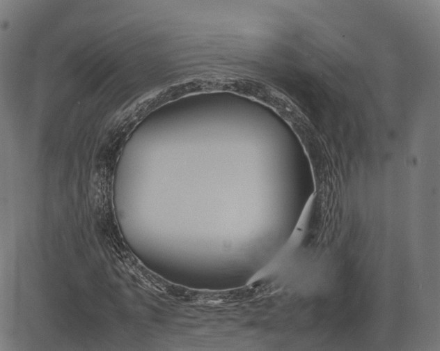 X0000082690773200702091656