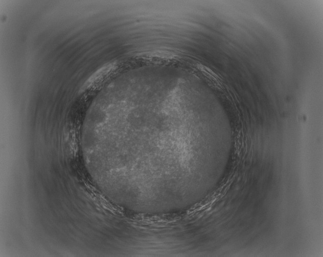 X0000082690774200702091656