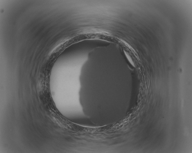 X0000082690775200702091656