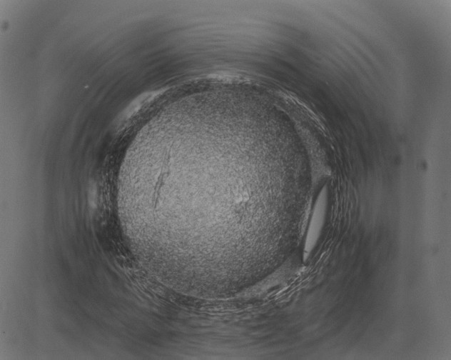 X0000082690776200702091656