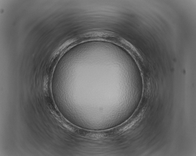 X0000082690778200702091656