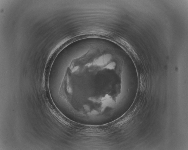 X0000082690780200702091656