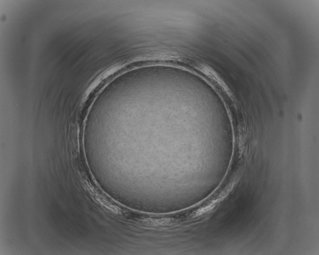 X0000082690781200702091656