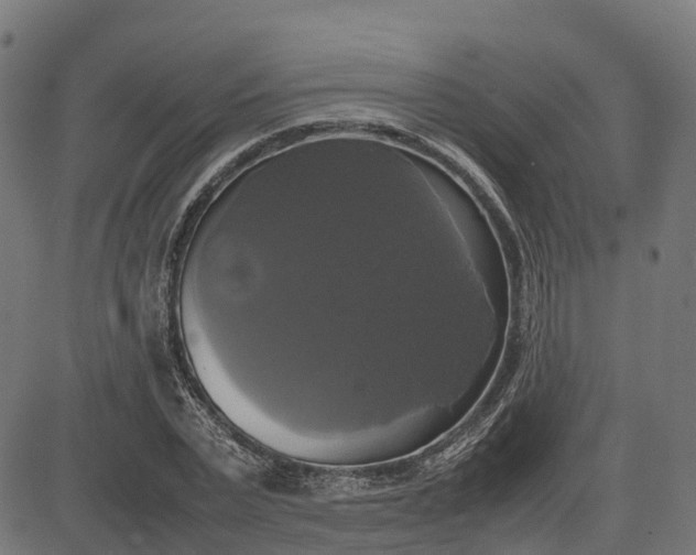 X0000082690783200702091656