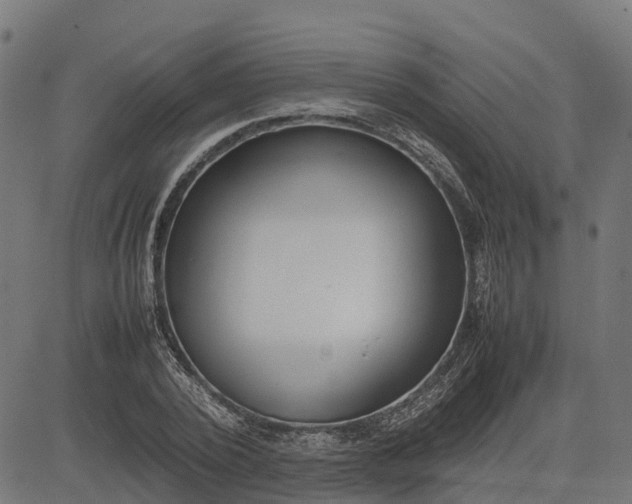 X0000082690784200702091656