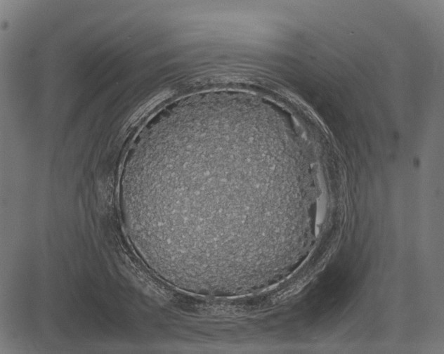 X0000082690785200702091656