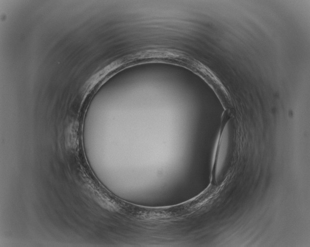 X0000082690786200702091656