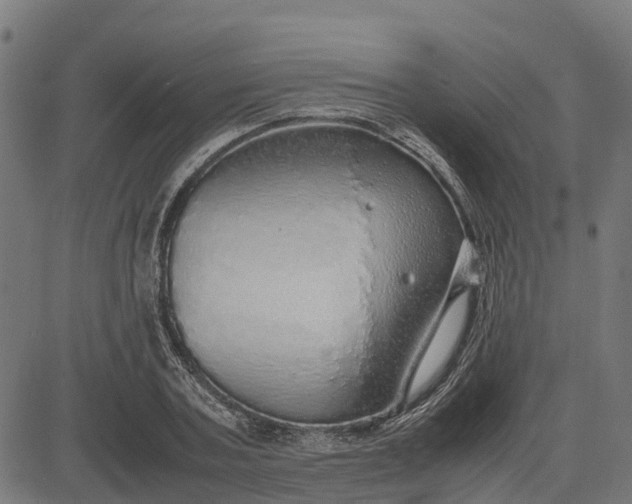 X0000082690787200702091656