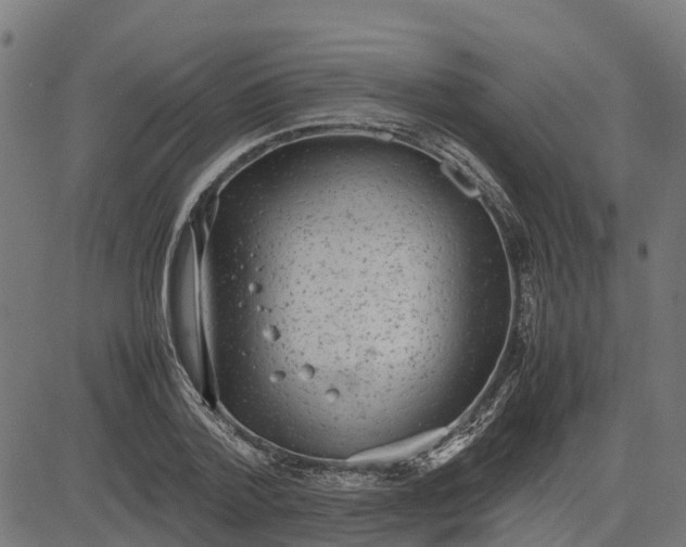 X0000082690788200702091656